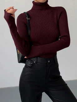 Best Minimalist Turtleneck Slim Knit Top Sweater Tops|Sweaters & Cardigans