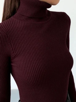 Online Minimalist Turtleneck Slim Knit Top Sweater Tops|Sweaters & Cardigans