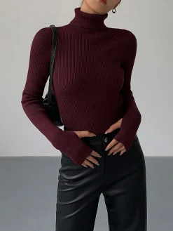 Online Minimalist Turtleneck Slim Knit Top Sweater Tops|Sweaters & Cardigans
