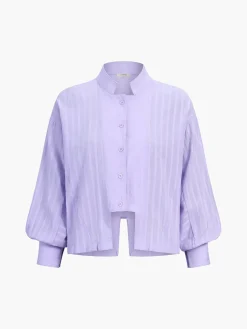 New Pure Cotton Pinstripe Long-Sleeve Shorts Set Shorts Sets|Shorts
