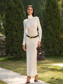 Best Turtleneck Semi-Sheer Slim Long Dress Without Belt Dresses